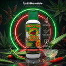 Shampoo Chile+Romero+Sabila 240 ml