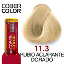 Tinte Xiomara Cober Color 120 gr