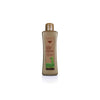 SALERM 21 BIOKERA SHAMPOO ARGAN