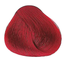 TINTE YELLOW INTENSIFIERS