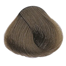 TINTE YELLOW DUSTY BROWNS