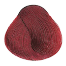 TINTE YELLOW REDS/ SUPER REDS