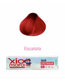 Tinte Xiomara 300 100 g