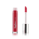 Gloss Labial Y Voluminizador