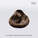 TINTE KOLOR SHOT CENIZOS