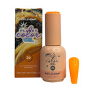 PLANET COLOR GEL -NAIL PLANET