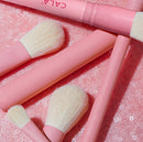 PRETTY IN PINK (SET DE BROCHAS PARA ROSTRO Y OJOS) - CALA