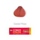 Tinte Xiomara Cober Color 120 gr