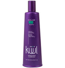 Shampoo Protector De Color