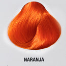 TINTE KOLOR SHOT FANTASIA