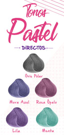 Tinte RBL Rebell Beauty